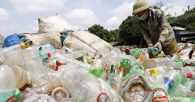 Giám đốc nông dân tái chế rác thành phân hữu cơ thu lãi 4,9 tỷ đồng/năm