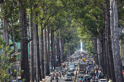 Quản lý cây xanh thành phố Hồ Chí Minh trong bối cảnh biến đổi khí hậu