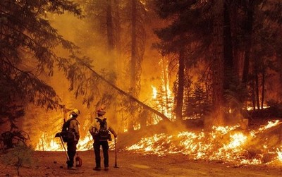 Biến đổi khí hậu làm tăng 25% nguy cơ cháy rừng dữ dội