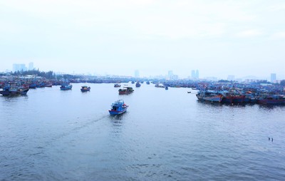 Đà Nẵng thực hiện các biện pháp mạnh chống khai thác hải sản bất hợp pháp