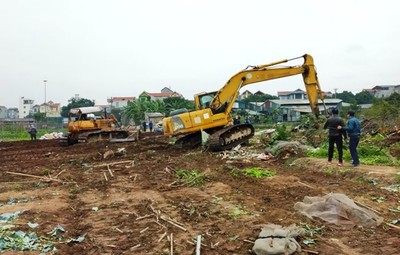 Hà Nội: Xem xét gửi mục tiêu khu đất trồng lúa một dự án công trình bên trên thị trấn Gia Lâm