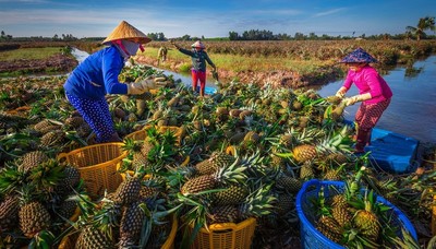 Tiền Giang: Du lịch nông nghiệp, sinh thái ngày càng phát triển