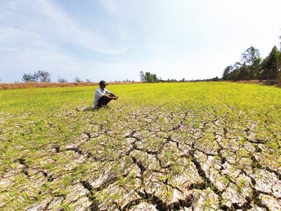 Công tác Phòng chống hạn hán thiếu nước xâm nhập mặn Trà Vinh 2023-2025