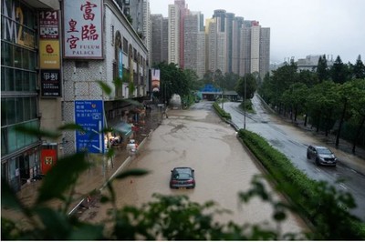 Hong Kong nhanh chóng khắc phục thiệt hại sau mưa bão