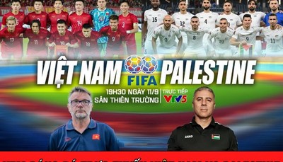 VTV5 Trực tiếp bóng đá Việt Nam vs Palestine, 19h30 ngày 11/9