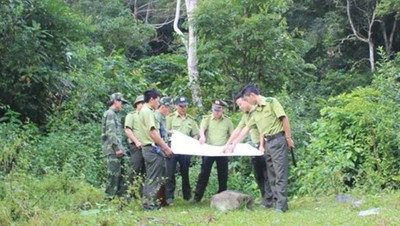 Lào Cai: Trang bị kỹ năng cho tổ bảo vệ rừng cơ sở