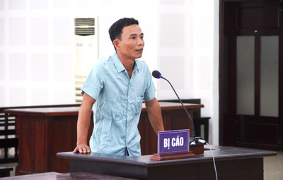 Khai thác đất “lậu”, người đàn ông ở Đà Nẵng lĩnh 18 tháng tù