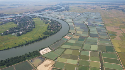 Quảng Trị: Sông Sa Lung ô nhiễm, không đảm bảo chất lượng phục vụ sản xuất và sinh hoạt