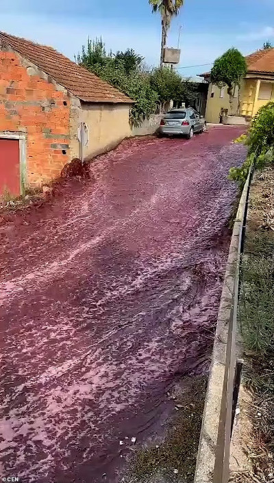Bồ Đào Nha: Nổ thùng chứa khiến thị trấn ngập trong 2,2 triệu lít rượu