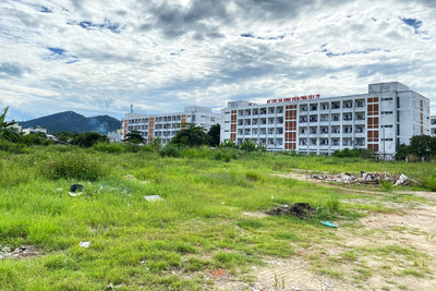 Đà Nẵng đấu giá thành công 2 khu đất "khủng" để xây trường học, siêu thị