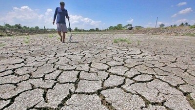 Australia: Ghi nhận chỉ số El Nino mạnh lên