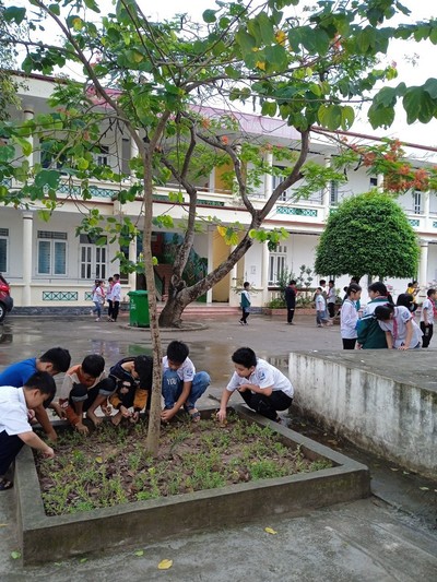 Hưng Yên: Tác dụng lan toả bảo vệ môi trường trên Facebook trong các bậc học