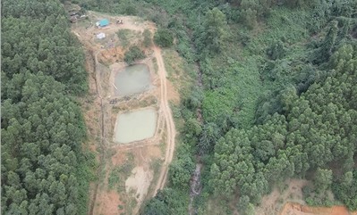 Quảng Bình: Người dân lấn chiếm và sử dụng đất trồng rừng tại huyện Bố Trạch
