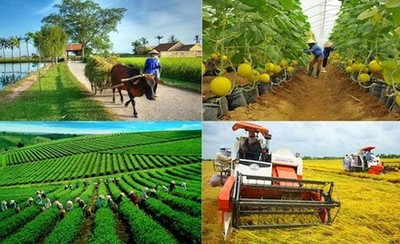 Chiến lược phát triển ngành nghề nông thôn: Bảo vệ môi trường gắn với phát triển du lịch nông nghiệp