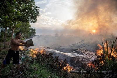 Indonesia nỗ lực đối phó tình trạng cháy rừng vì El Nino