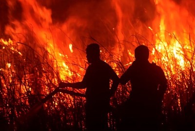 Indonesia: Cháy than bùn trên đảo Sumatra suốt 2 tuần