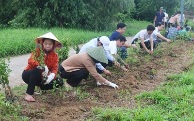 Huế: Hưởng ứng phong trào Ngày Chủ nhật xanh tại huyện Phong Điền