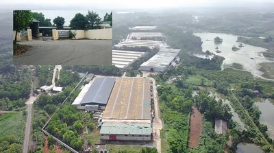 Phú Thọ: Người dân "tố" trang trại gia cầm Hòa Phát gây ô nhiễm môi trường
