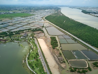 Nghệ An sẽ làm thêm cầu vượt sông Lam kết nối với Hà Tĩnh