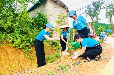 Thái Nguyên: Chăm sóc, nhân rộng tuyến đường cây xanh (hoa) tại Phú Lương