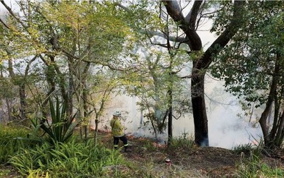 Australia: Hàng chục vụ cháy rừng bùng phát trong đợt nắng nóng mùa xuân
