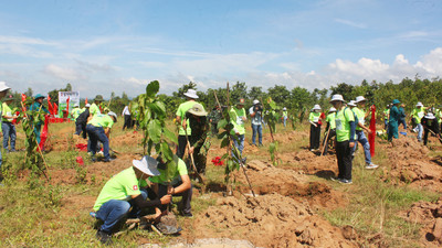 Gia Lai: Huyện Ia Pa trồng 2.000 cây xanh – chung tay bảo vệ môi trường xanh