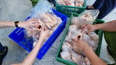 Nghệ An: Phát hiện hơn 10 tấn thịt gà đông lạnh không rõ nguồn gốc xuất xứ