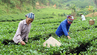 Thái Nguyên: 100% làng nghề có thủ tục môi trường