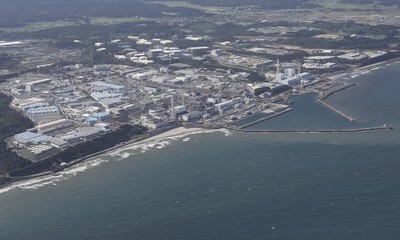 Không phát hiện tritium trong cá gần khu vực xả thải của Nhật Bản