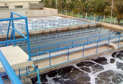 Hệ thống xử lý nước thải bằng vi tảo cho khu công nghiệp