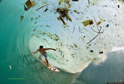 Lướt sóng và kem chống nắng: Quả "bom độc" của môi trường biển