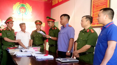 Bắc Giang: Khởi tố, bắt tạm giam Vi Văn Huấn về hành vi “Hủy hoại rừng”