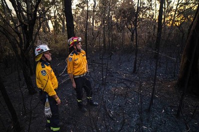Australia: Ghi nhận hơn 75 vụ cháy rừng xảy ra trong một ngày