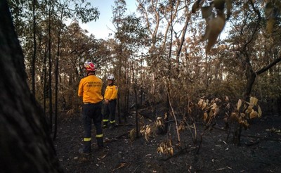Australia: Ban bố hàng loạt cảnh báo cháy rừng tại bang Victoria