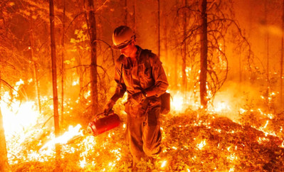 Canada: Ước tính thiệt hại lớn chưa từng thấy trong mùa cháy rừng năm 2023