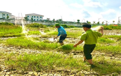 Hạt Kiểm lâm Lạng Giang- TP Bắc Giang ngăn chặn nạn tận diệt chim hoang dã, chim di cư