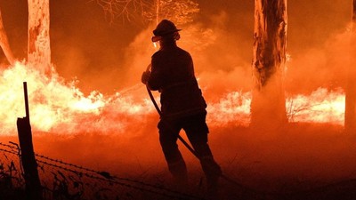 Australia: Ghi nhận gần 400 vụ cháy rừng trong 7 ngày tại bang New South Wales
