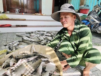 Phân tích mẫu nước tìm nguyên nhân cá nuôi lồng bè chết hàng loạt tại Hà Tĩnh