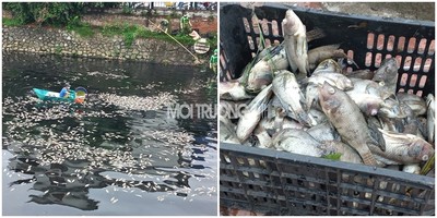 Nghệ An: Cá chết trắng Hào thành cổ Vinh, người dân nghi ngờ có xả thải trộm?