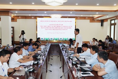 Hải Phòng : Giám sát công tác bảo vệ môi trường tại quận Hải An và Công ty Cổ phần DAP - Vinachem