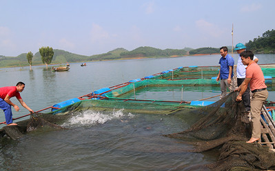 Yên Bái đẩy mạnh ứng dụng khoa học trong nuôi trồng thủy sản