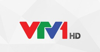 Lịch phát sóng VTV1 ngày 13/10/2023
