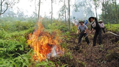 Tỉnh Bắc Giang triển khai công tác phòng cháy, chữa cháy rừng mùa khô 2023-2024