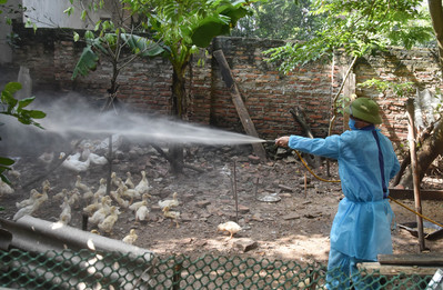 Bắc Ninh: Tổng vệ sinh, khử trùng, tiêu độc phục vụ chăn nuôi