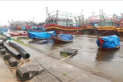 Các tỉnh từ Quảng Ninh đến Bình Định chủ động ứng phó với bão số 5 và mưa lớn
