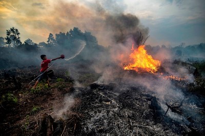 Indonesia: Ban bố tình trạng khẩn cấp ứng phó với hạn hán và hỏa hoạn tại đảo Bali