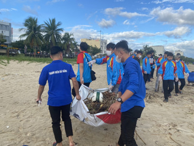 Sinh viên Đà Nẵng ra quân dọn vệ sinh môi trường biển sau đợt mưa lũ kéo dài