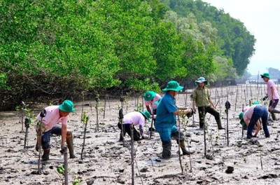 Đồng Nai: Trồng 3.2 Hecta rừng ngập mặn tại huyện Nhơn Trạch