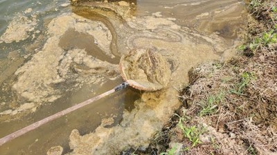 Quảng Trị: Tìm giải pháp xử lý ô nhiễm nghiêm trọng trên sông Sa Lung