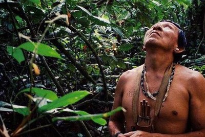 Các cộng đồng bản địa nỗ lực bảo vệ rừng Amazon